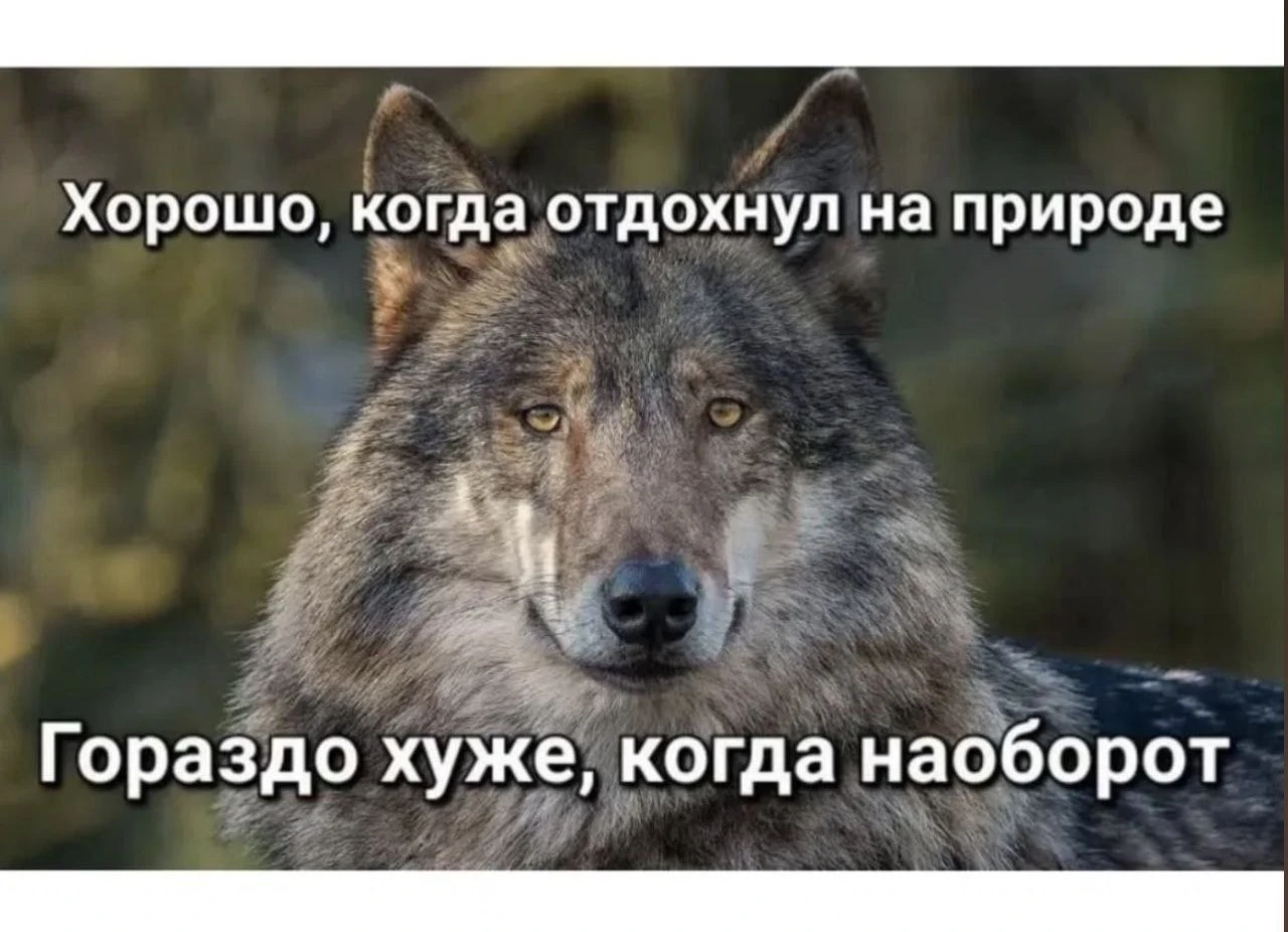 Потемнело за окном в MAX