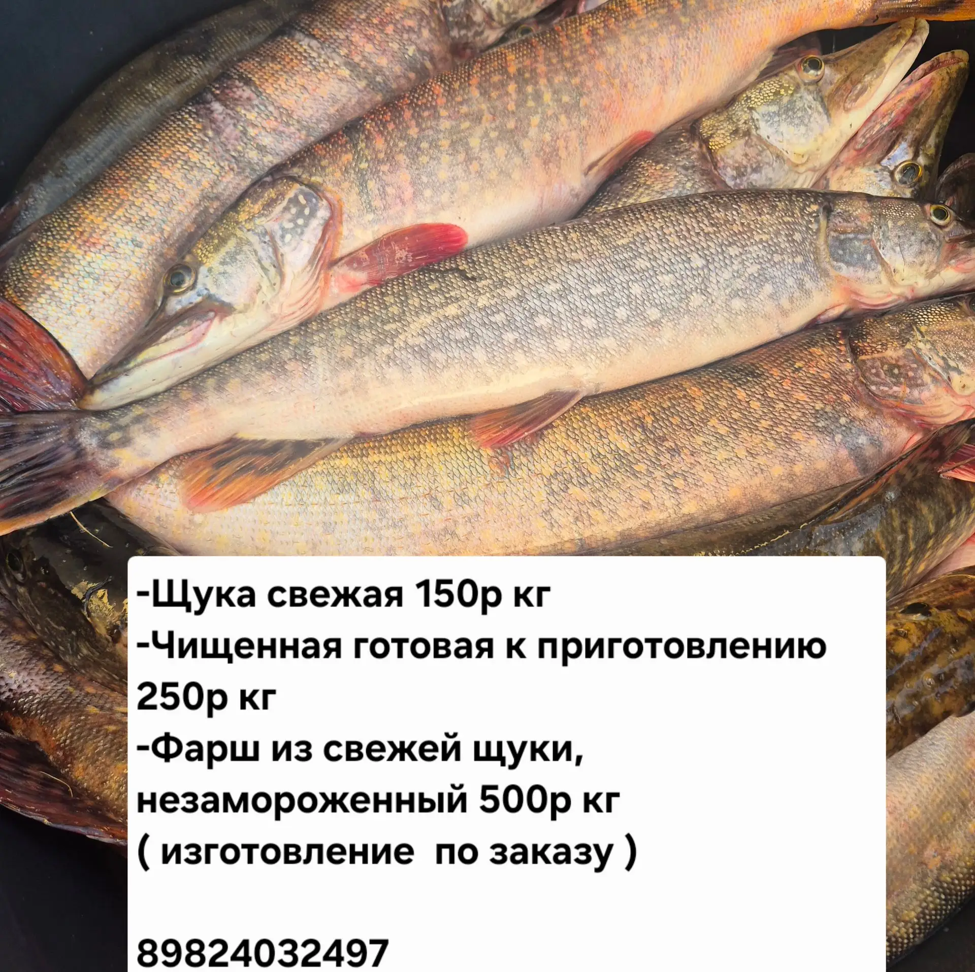 🧿 Ирина Тариеловна