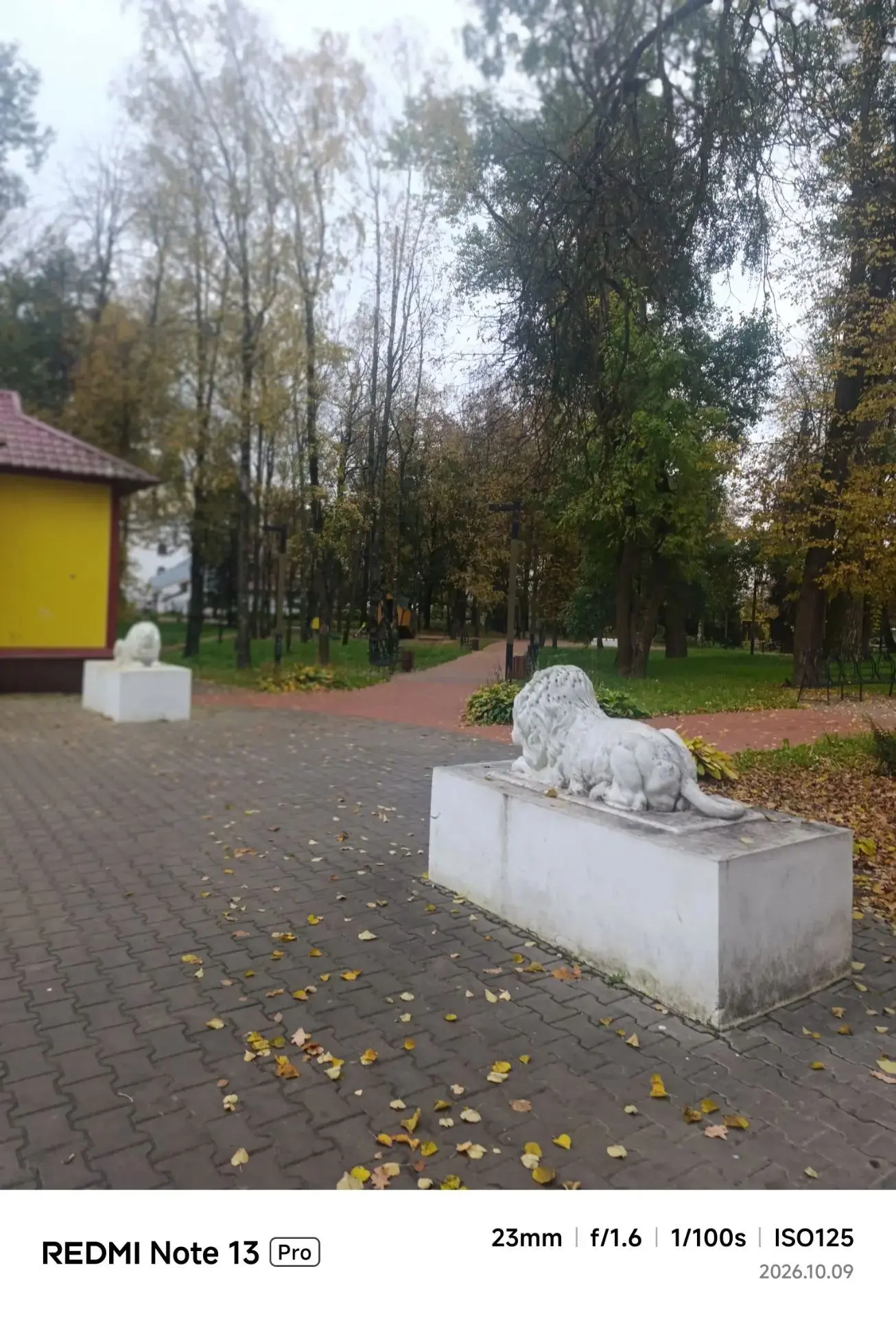 🌤 Доброе утро, Сычевка и округа!