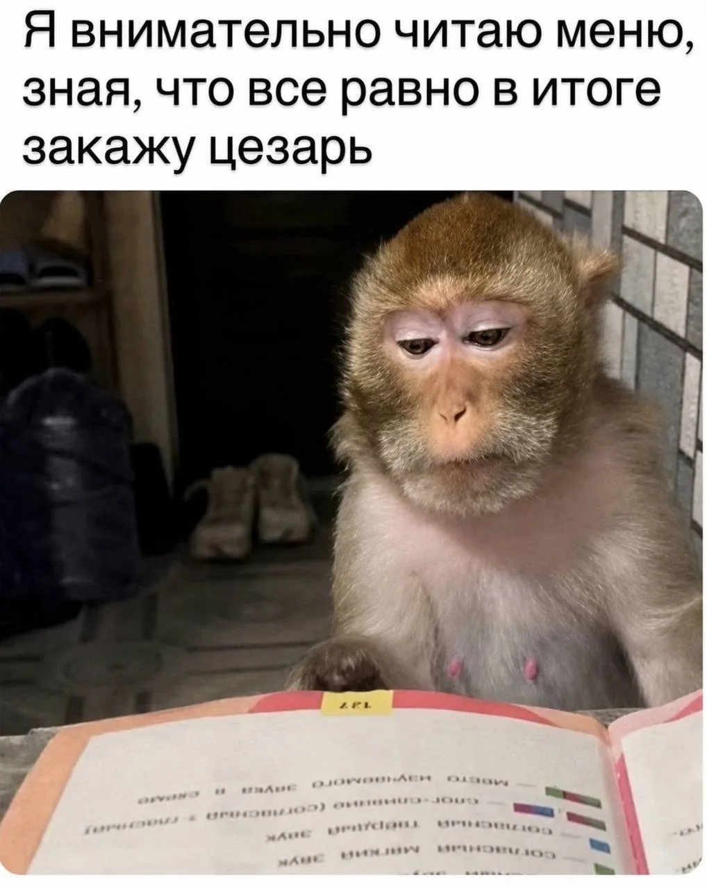 Кто вообще может быть против Цезаря? Шикарная еда!