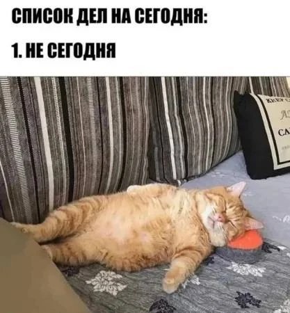 Анекдоты 😂