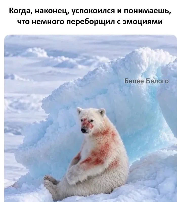 🐈‍⬛ Белее белого