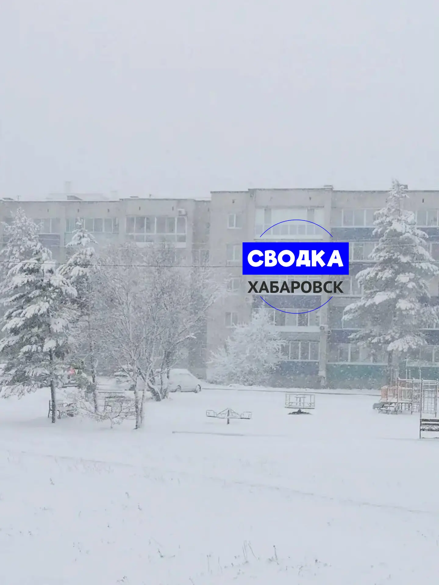 Из Солнечного шлют снежный привет 👋