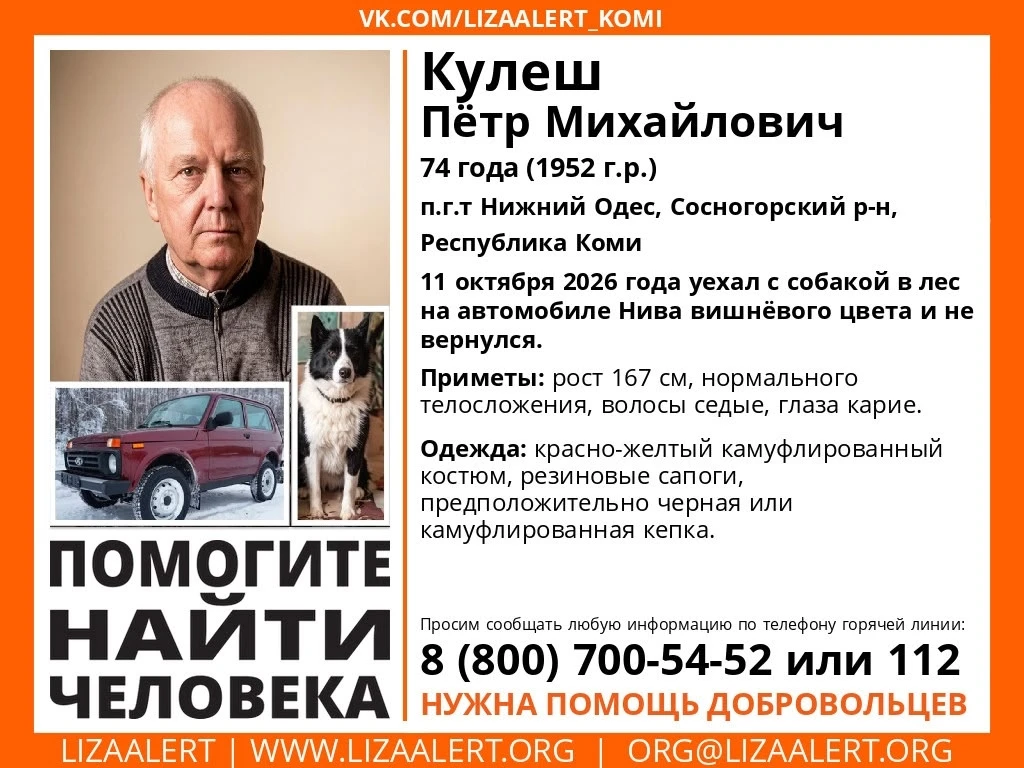 ‼️ В Сосногорском районе бесследно пропал 74-летний мужчина — уехал с собакой в лес на ...