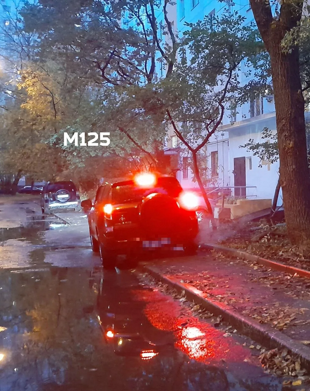Соседка делится проблемой: