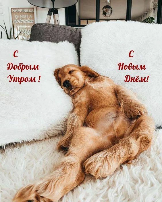 Доброе утро
