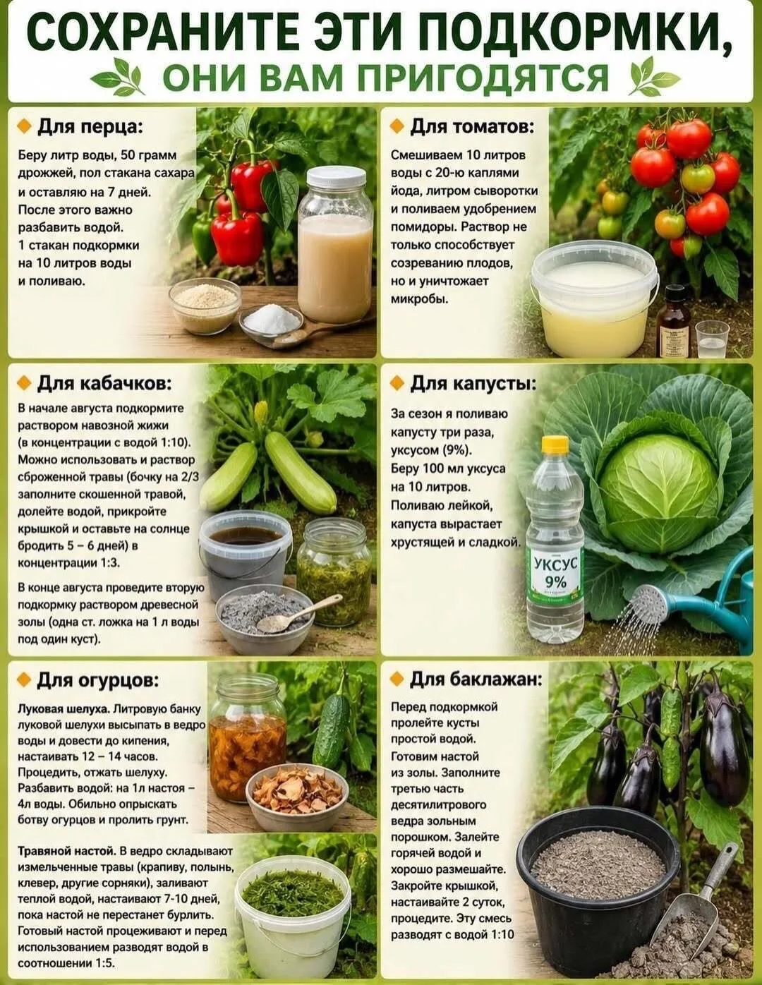 Проверенные подкормки для овощных культур🔥