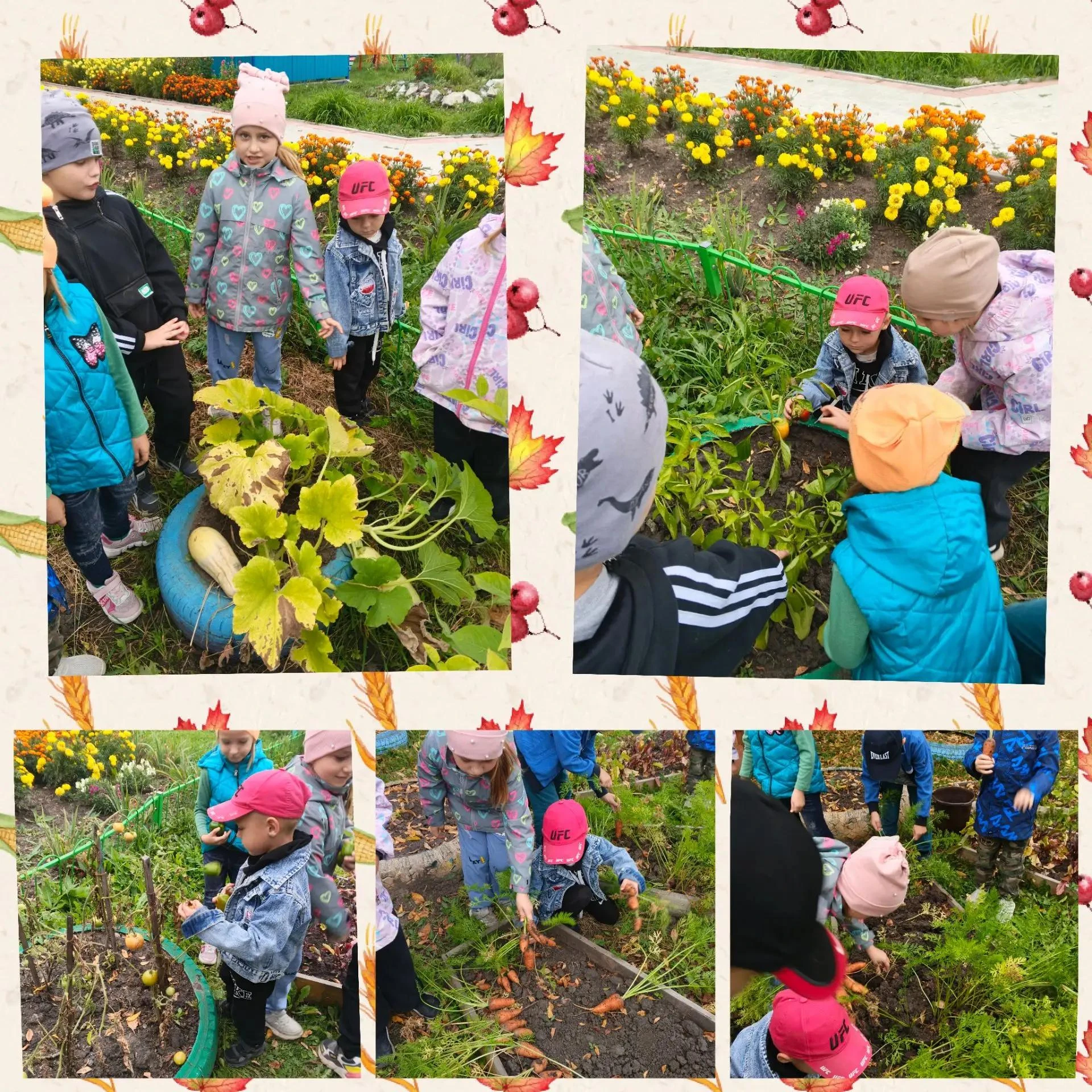 🥕🫑Овощи - полезные продукты