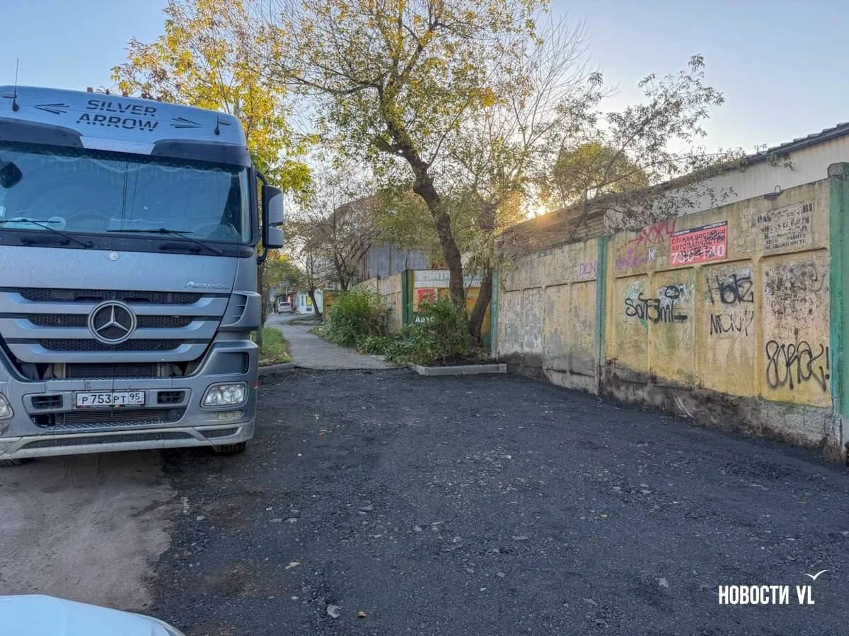 Ради новой автомойки на Борисенко срубили деревья и уничтожили тротуар