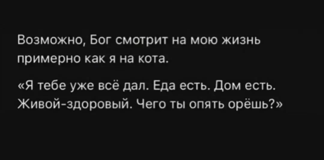 🙈