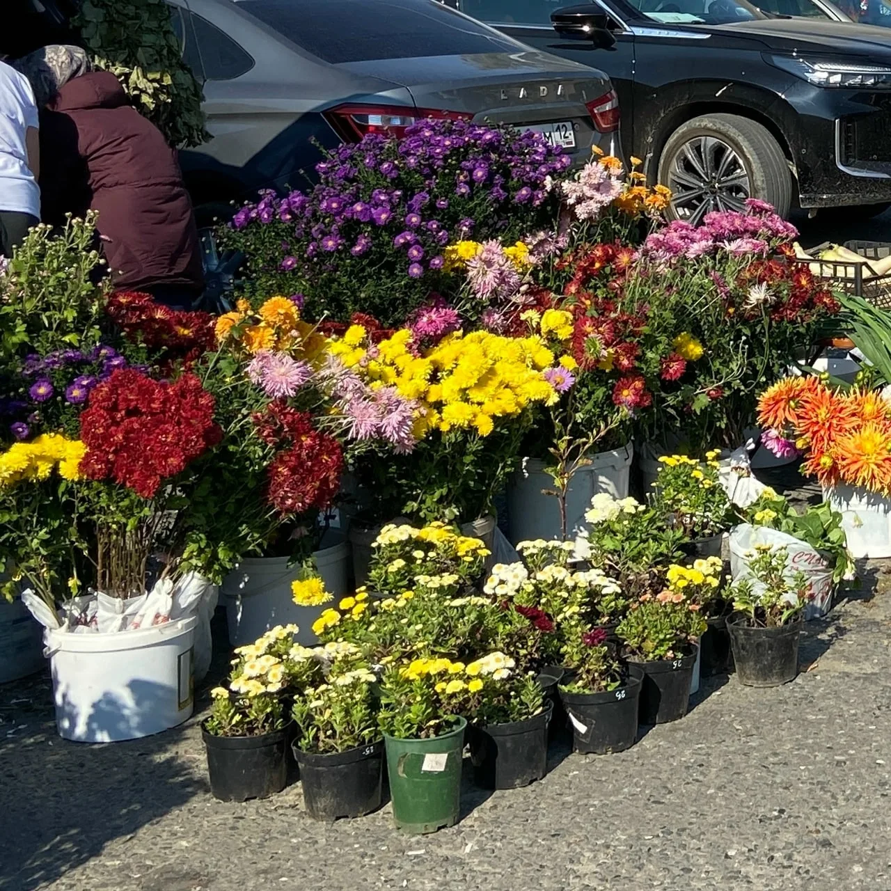 🌾 День агрария на главной ярмарке Йошкар-Олы!