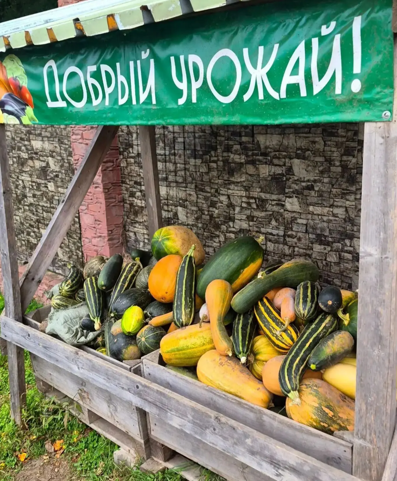 🍎🌽 АКЦИЯ «ДОБРЫЙ УРОЖАЙ» ЗАВЕРШЕНА!