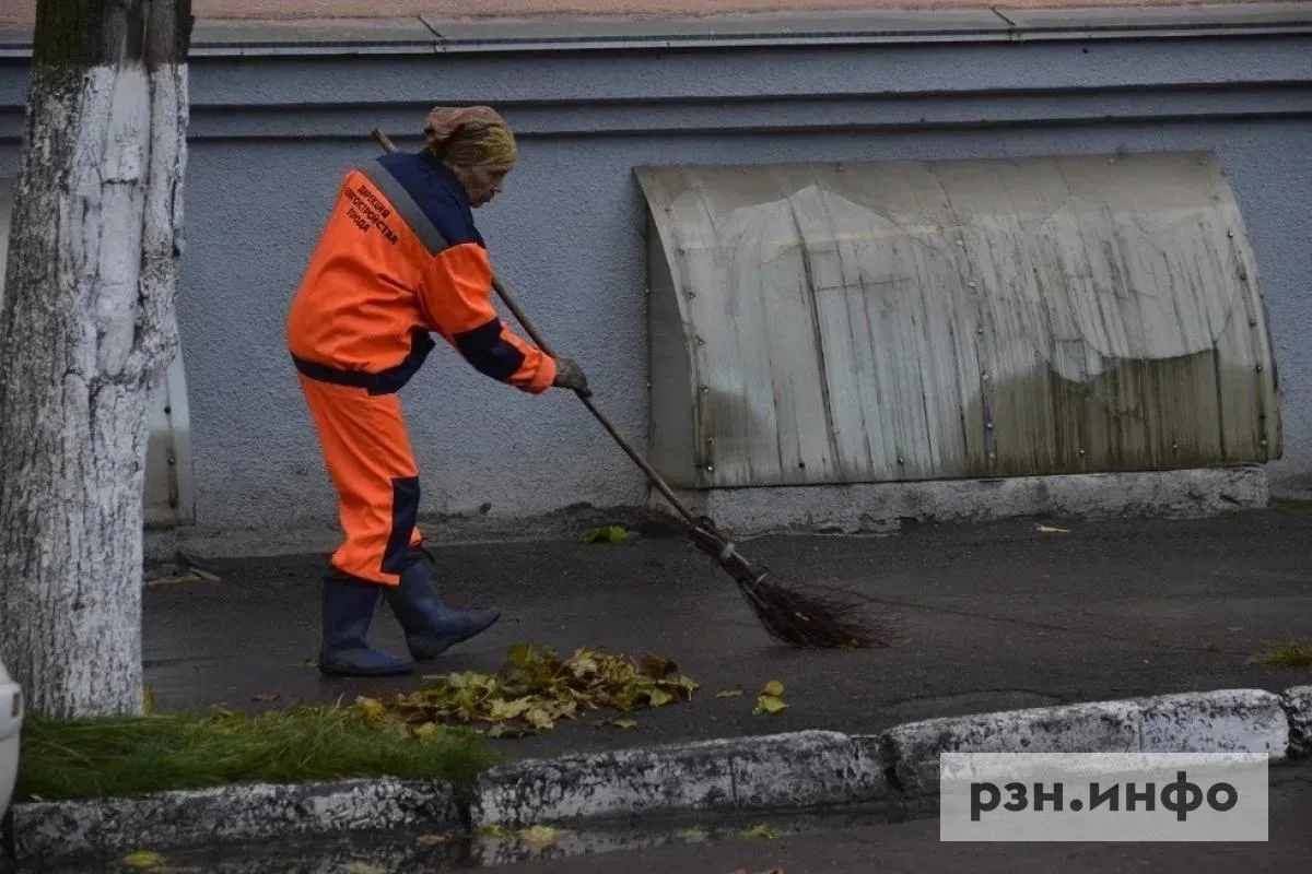 Рязанцев пригласили на очередной общегородской субботник. Об этом сообщает мэр Рязани Б...