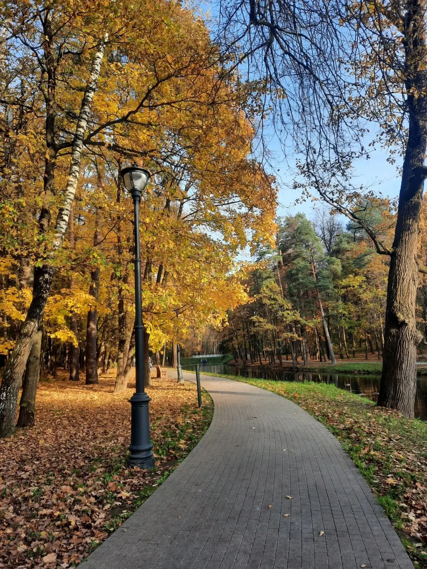 🍁 В Городском парке золотая осень.