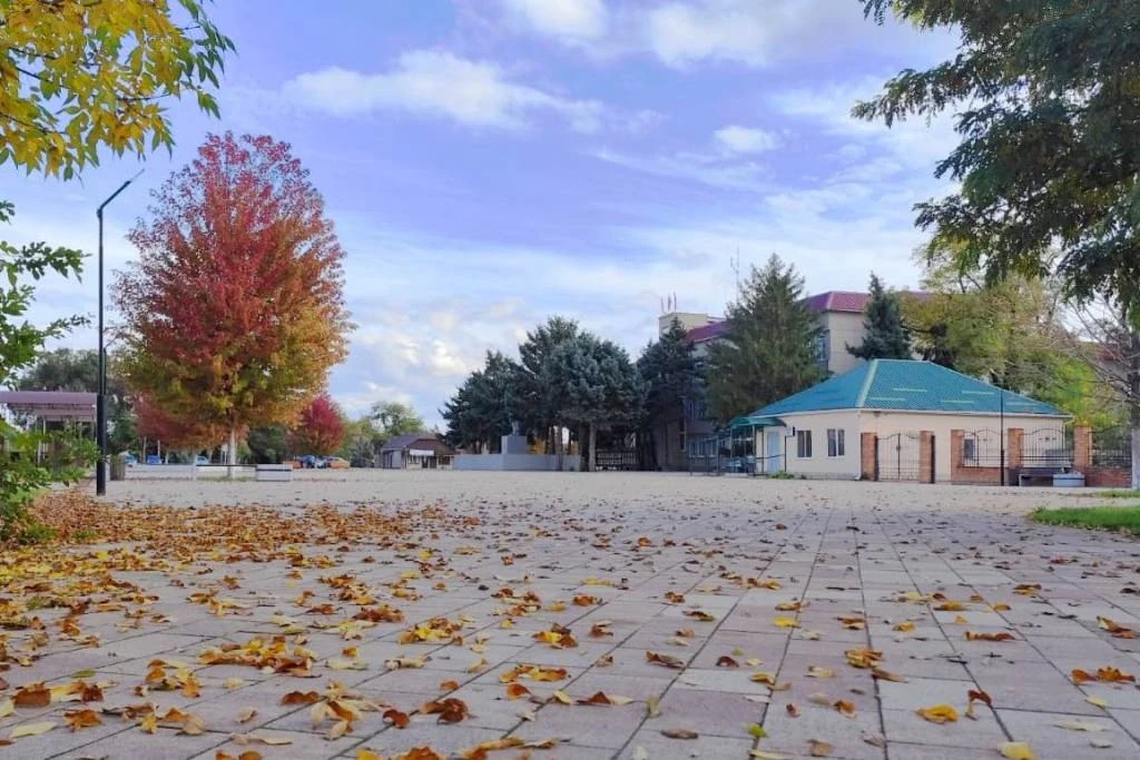 📌 Погода в Новоселицком округе
