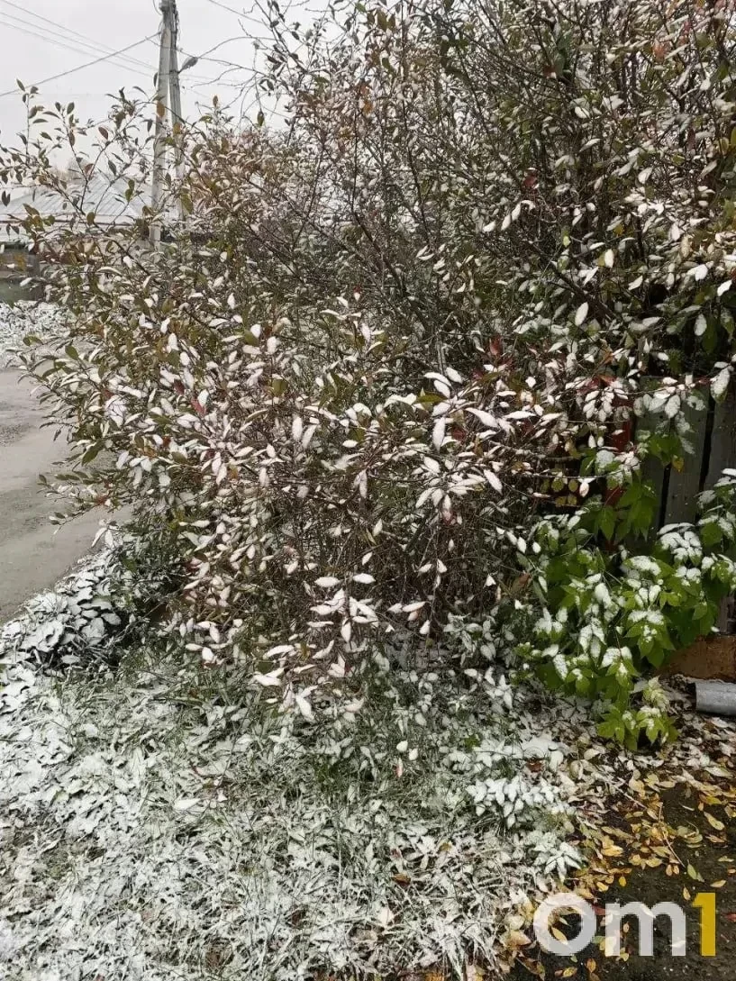 ❄️ Снег накрыл правобережье