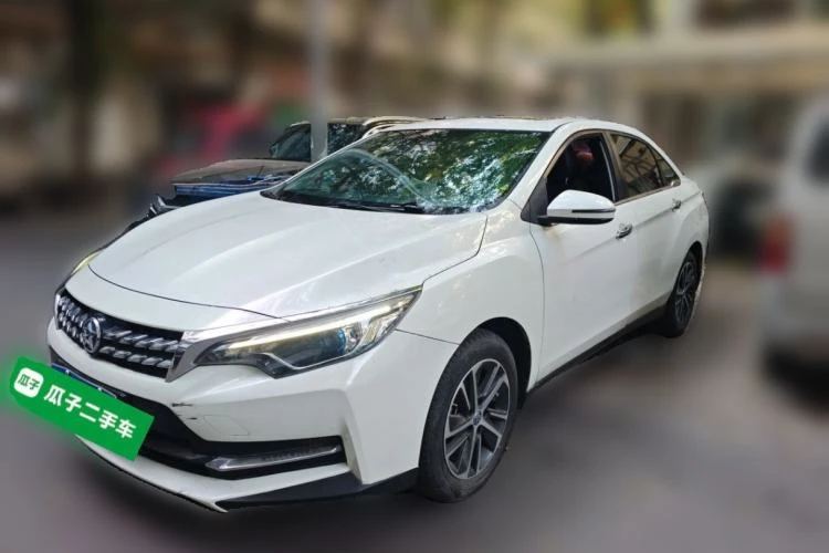 🚗 Venucia 2019