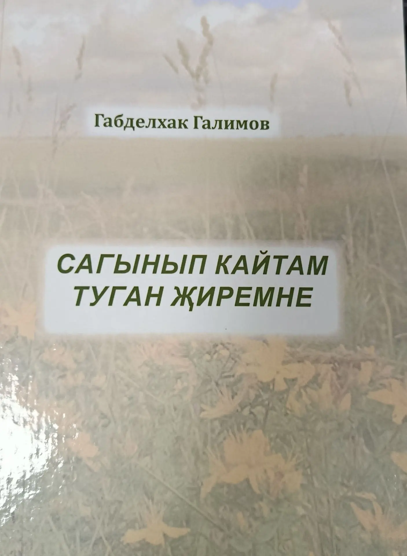 IX Бөтенроссия татар журналистлары форум кысаларында Казан шәһәренең данлыклы халык сән...