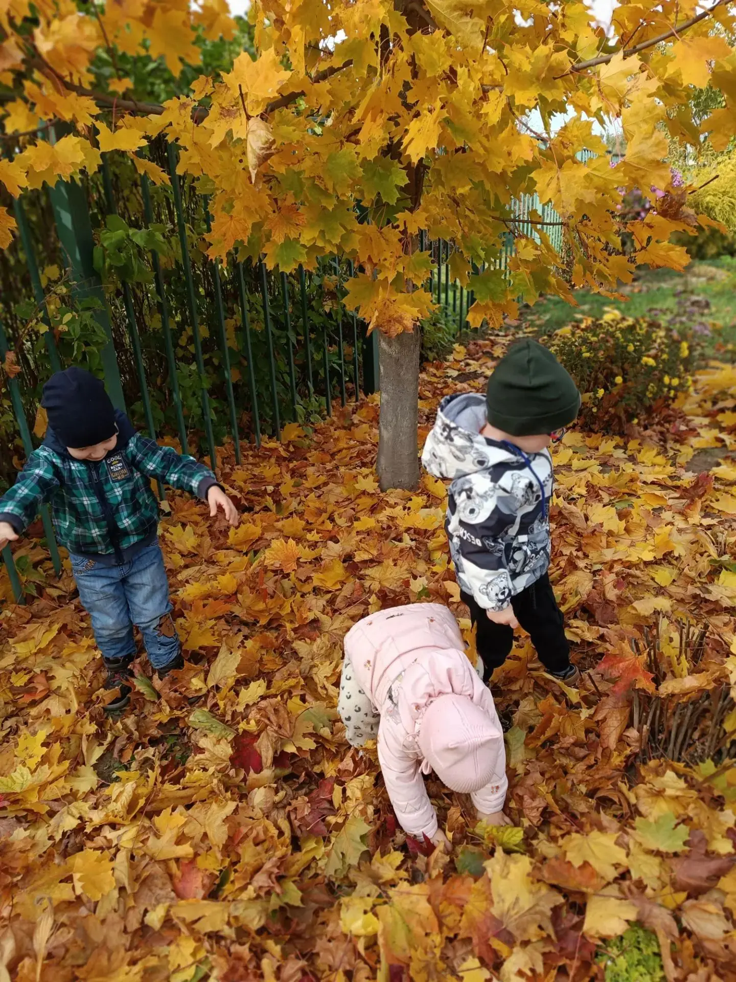 🍁Одно из красивейших времен года - это, конечно же, осень. 🍂Время осеннего листопада ...
