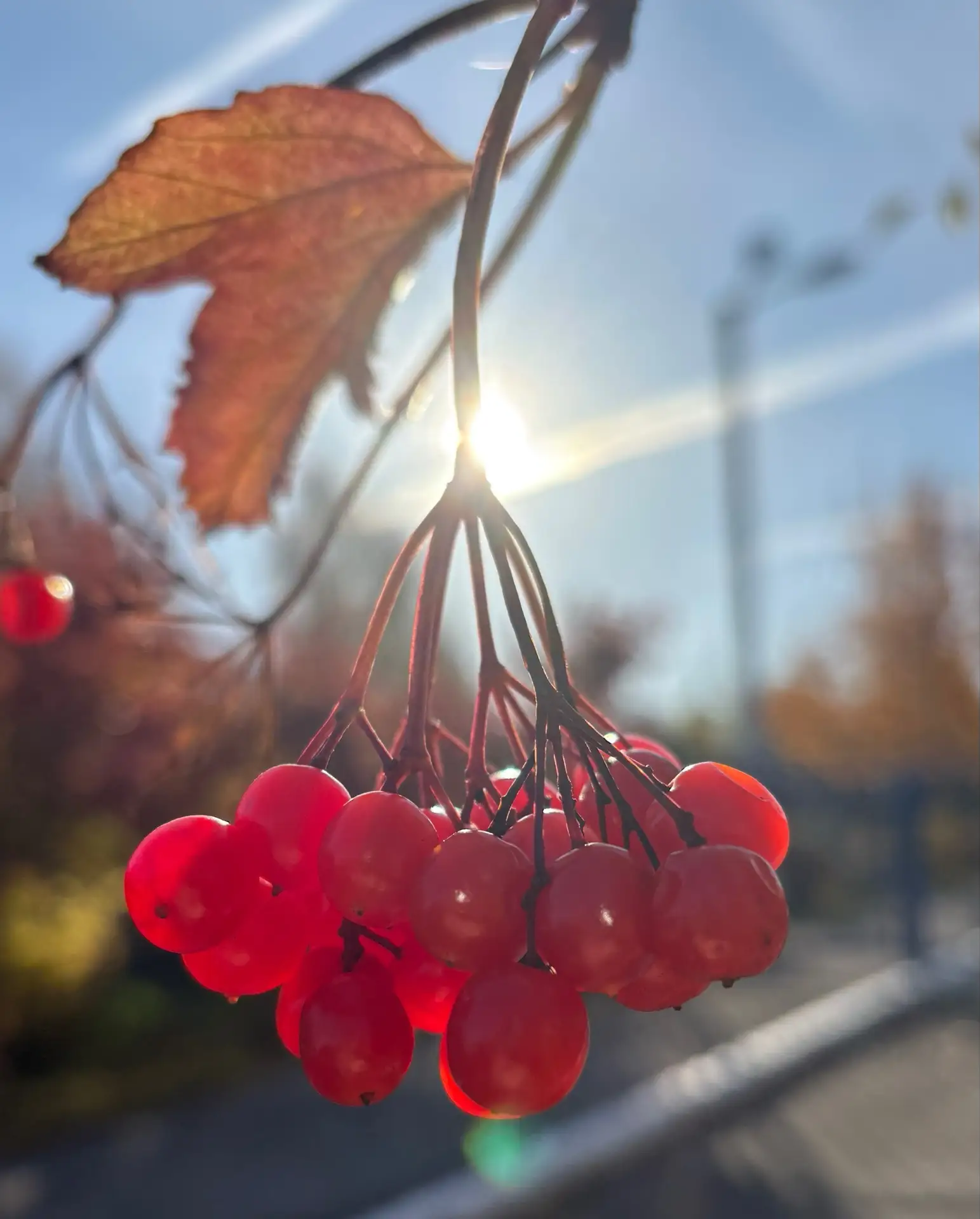 Доброе утро😍