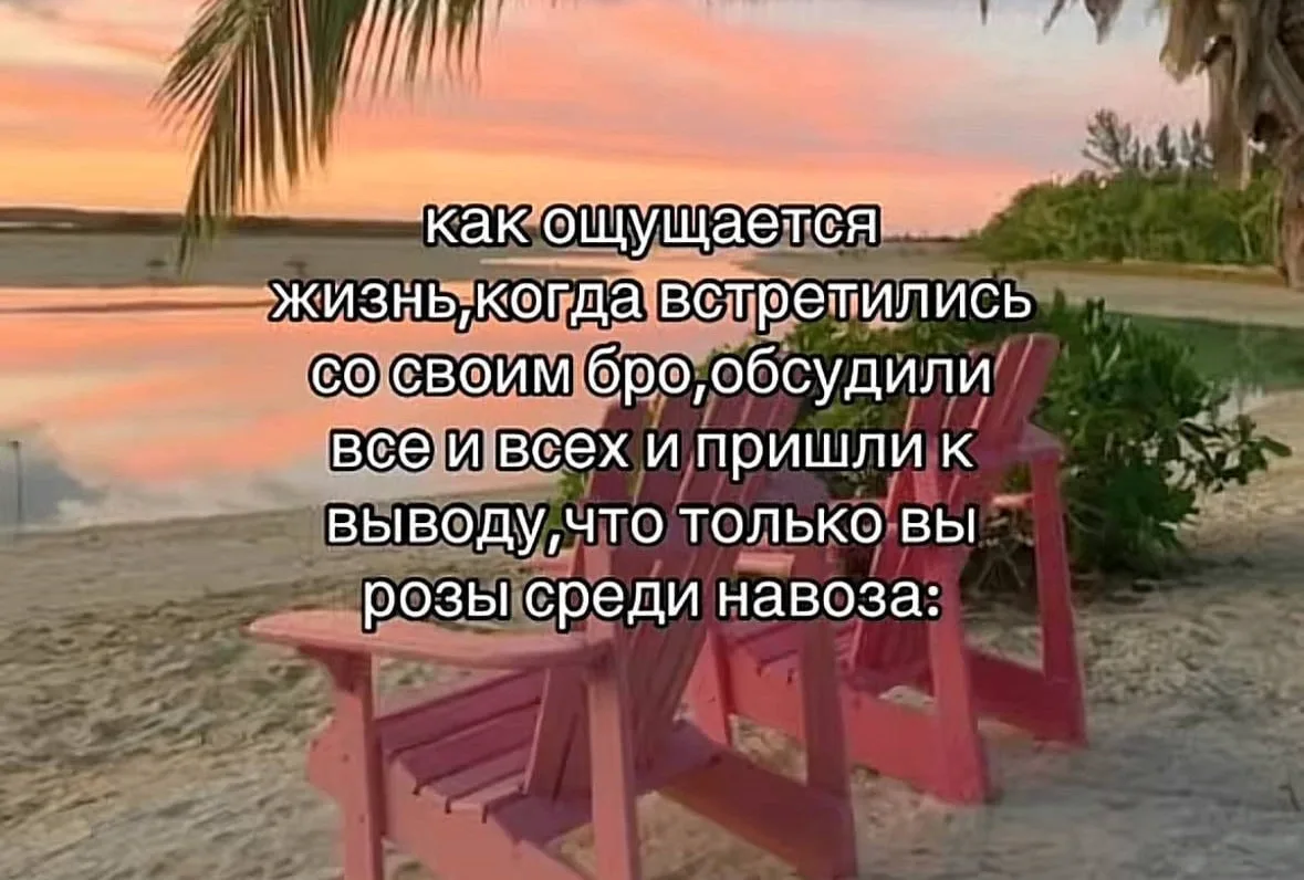*пересылай в свой канал, если правда