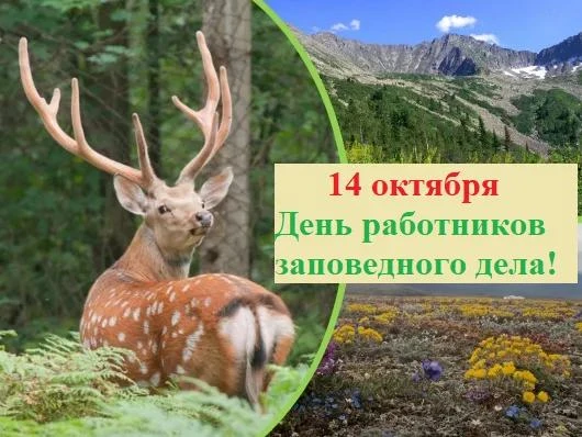 Поздравляем с Днем работников заповедного дела! 🌍🐾