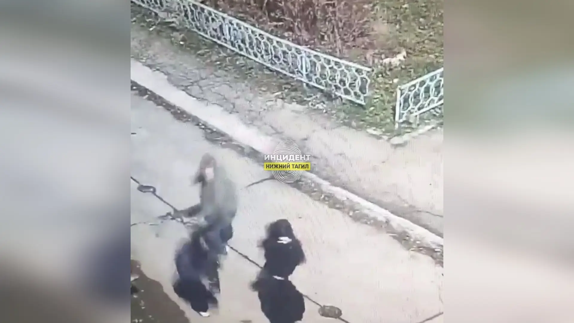 🚨 Нападение на жителя Удовенко в Нижнем Тагиле: возбуждено уголовное дело