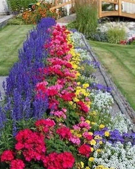 Красивые и интересные клумбы на будущий сезон 🌸