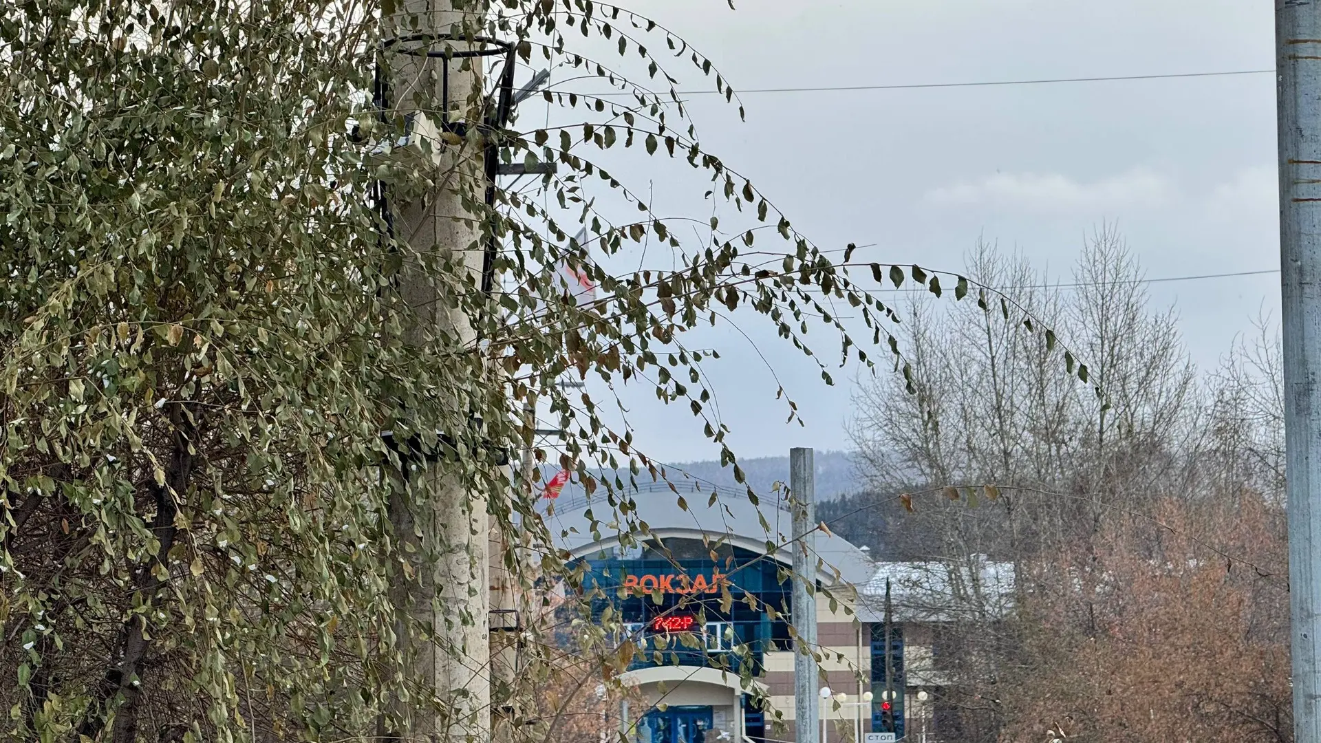 Погода в Вихоревке 15 октября 🍁
