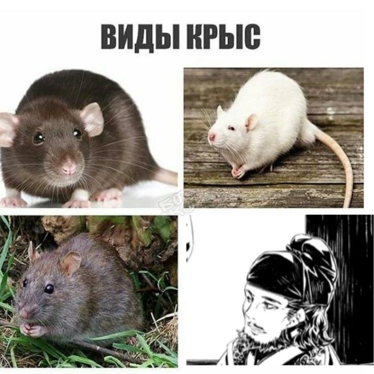 Все наши каналы
