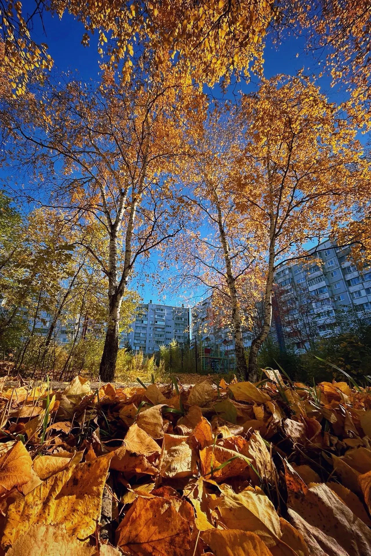 Привет, Комсомольск!