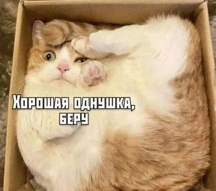 Такая обстановка😂