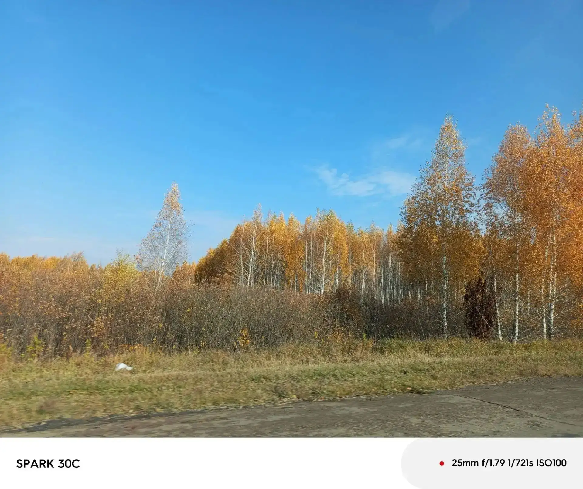 Фотоконкурс " Красота рядом"