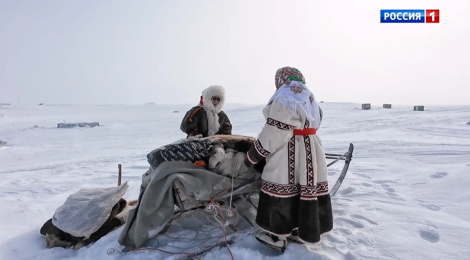 🛷 Таисия Окотэтто — о том, как в тундре берегут нарты