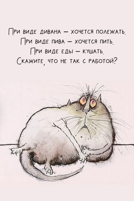 Ведьмин котелок 🧙 Подписаться