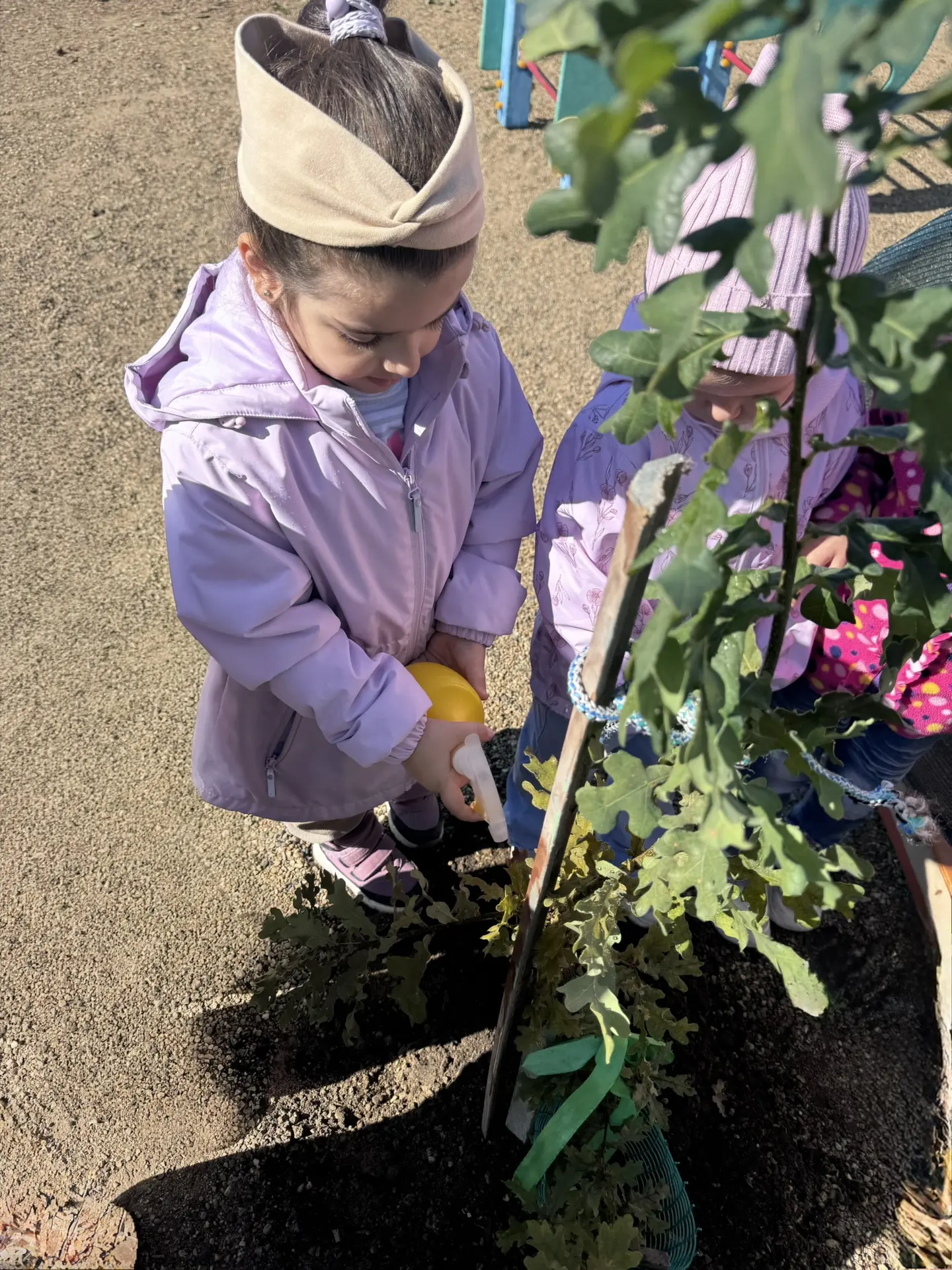 🌿 В рамках проекта «Зелёная дорога» наши ребята взяли шефство над могучим дубом! 🌳