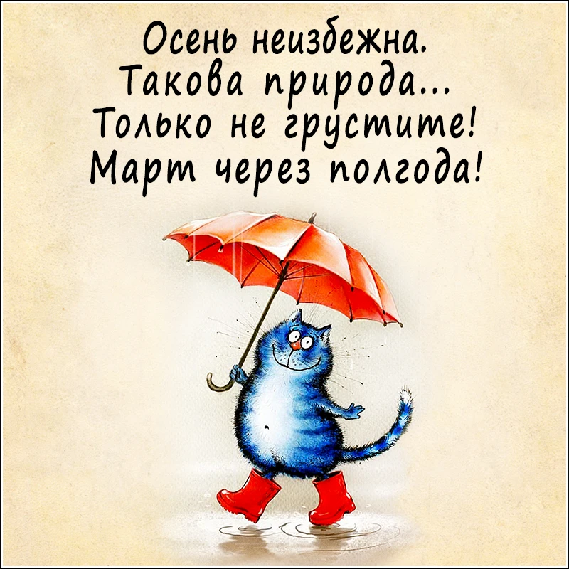 Доброе утро!☂️