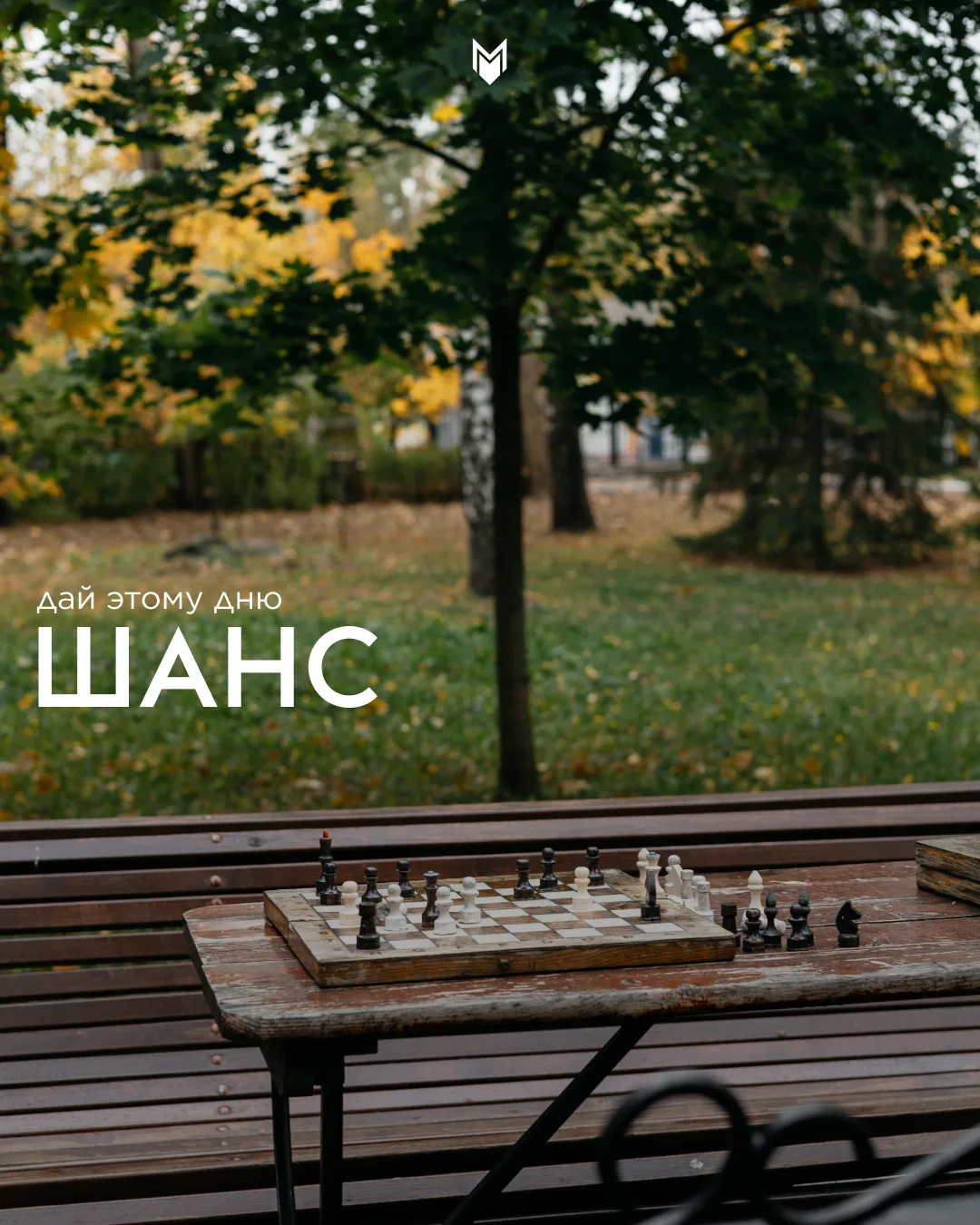 Доброе утро! ☀️🍁
