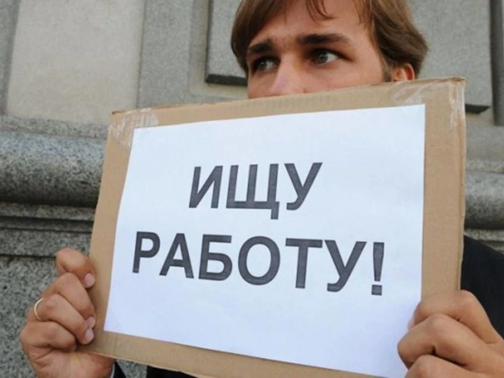 Безработица в Курской области — 1,5%, одна из самых низких в стране. По данным РИА-рейт...