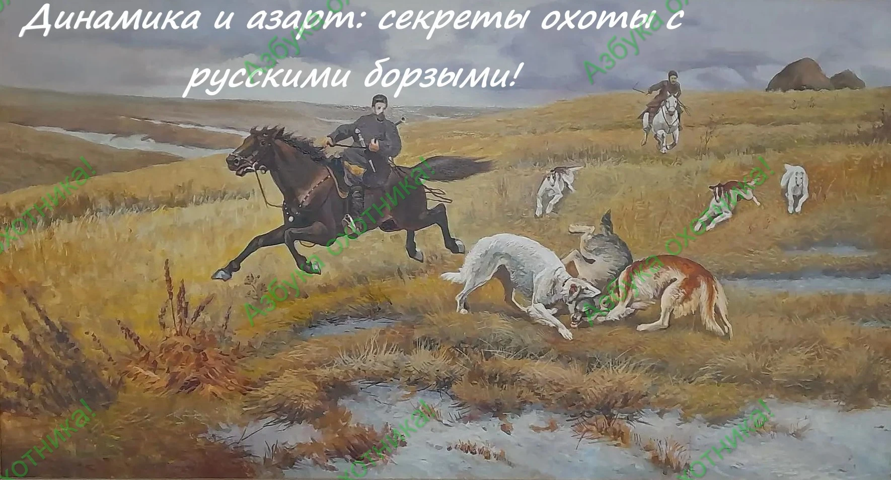 Динамика и азарт: секреты охоты с русскими борзыми!
