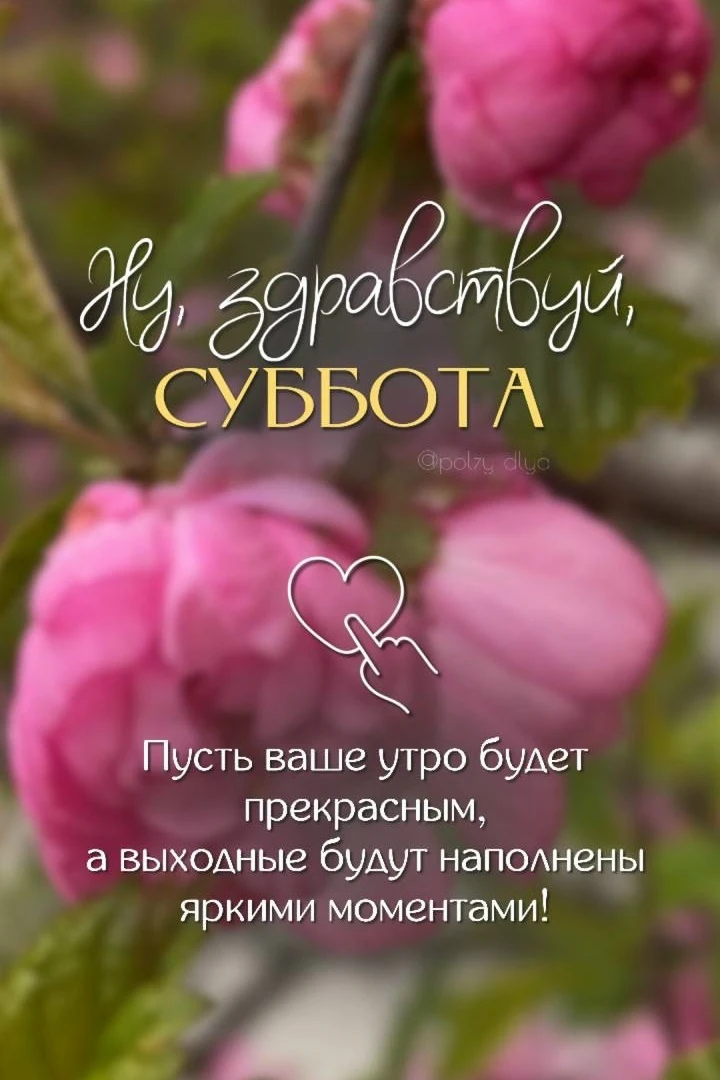 ❤Доброе утро, дорогие друзья!❤