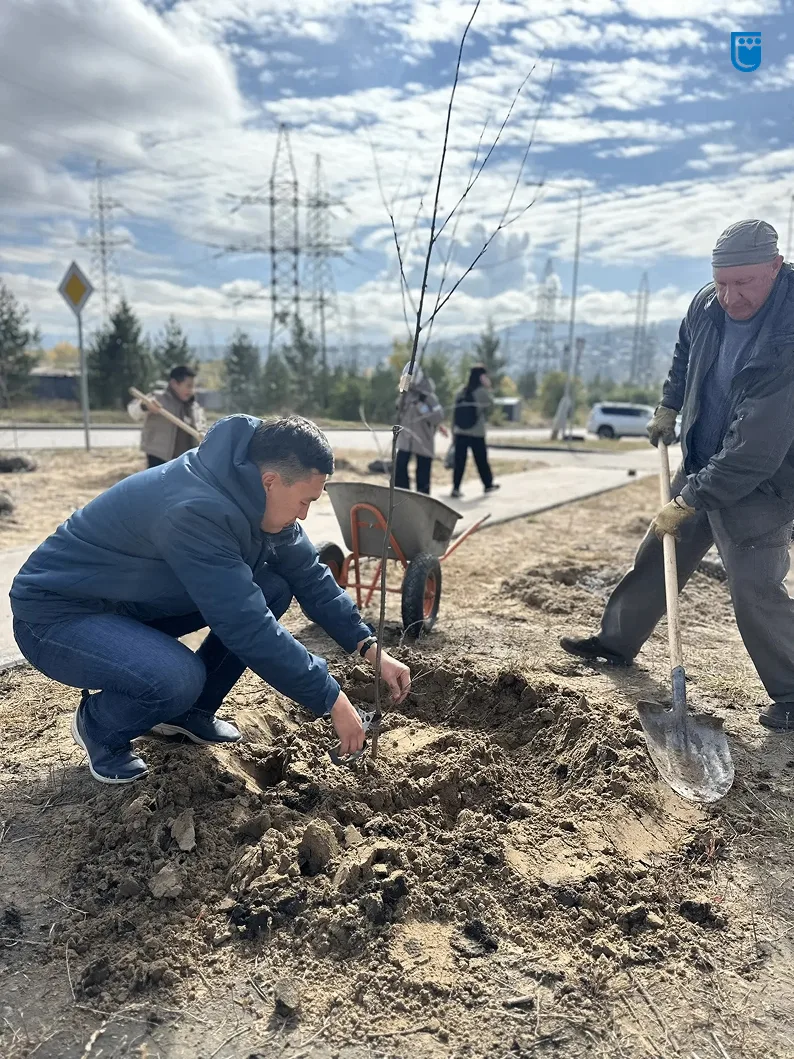 🌳В 140б квартале активно занимаются озеленением