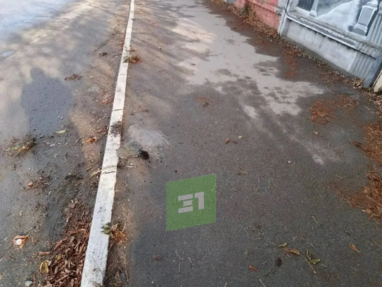 🤔В Миассе решили благоустроить улицу Пушкина, но местные жители или гости города воспр...