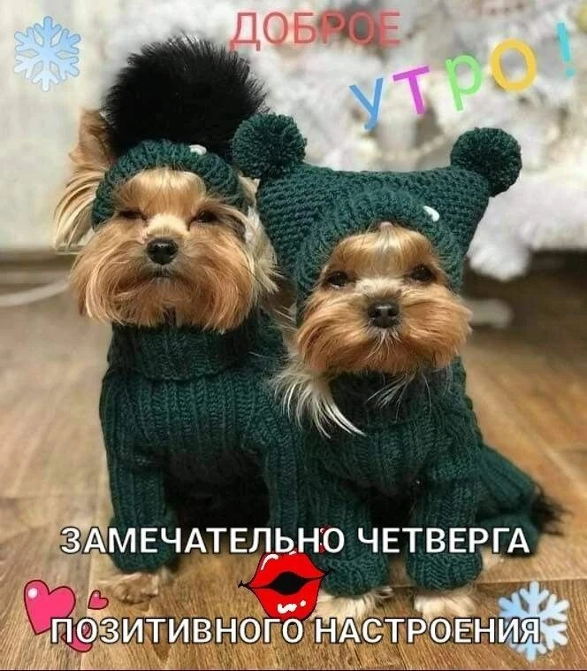 🧸 Режим «утренний помпончик» активирован!