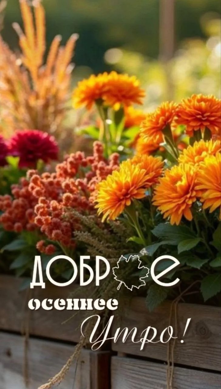 Поздравления для Настроения💌
