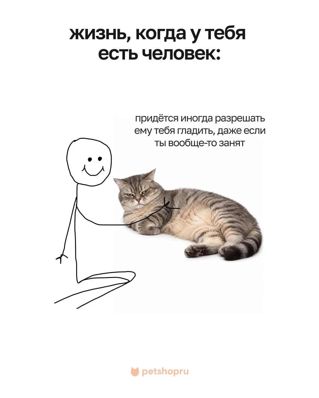 Жизнь с человеком, она такая… 🤭