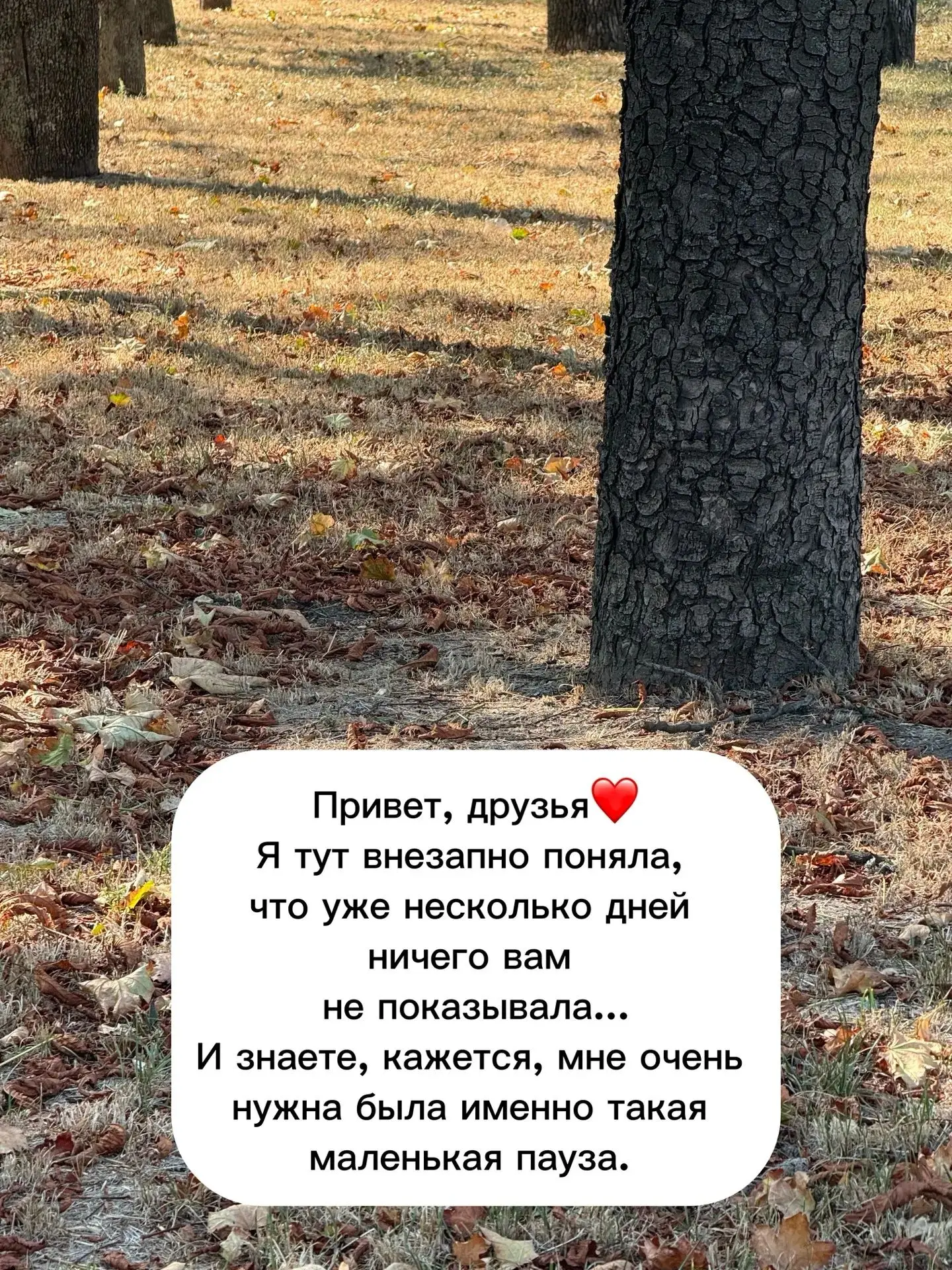 😉Привет, друзья!