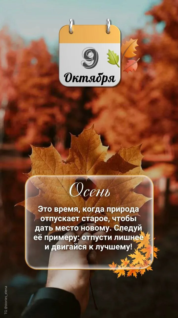 28-е лунные сутки — время благодарности, мудрости и приятных подарков от Вселенной. 🎁✨