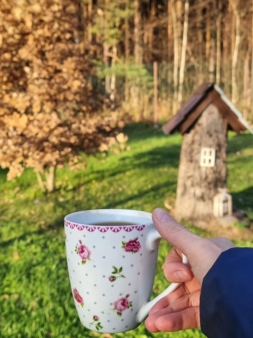 Доброе воскресное 🍂