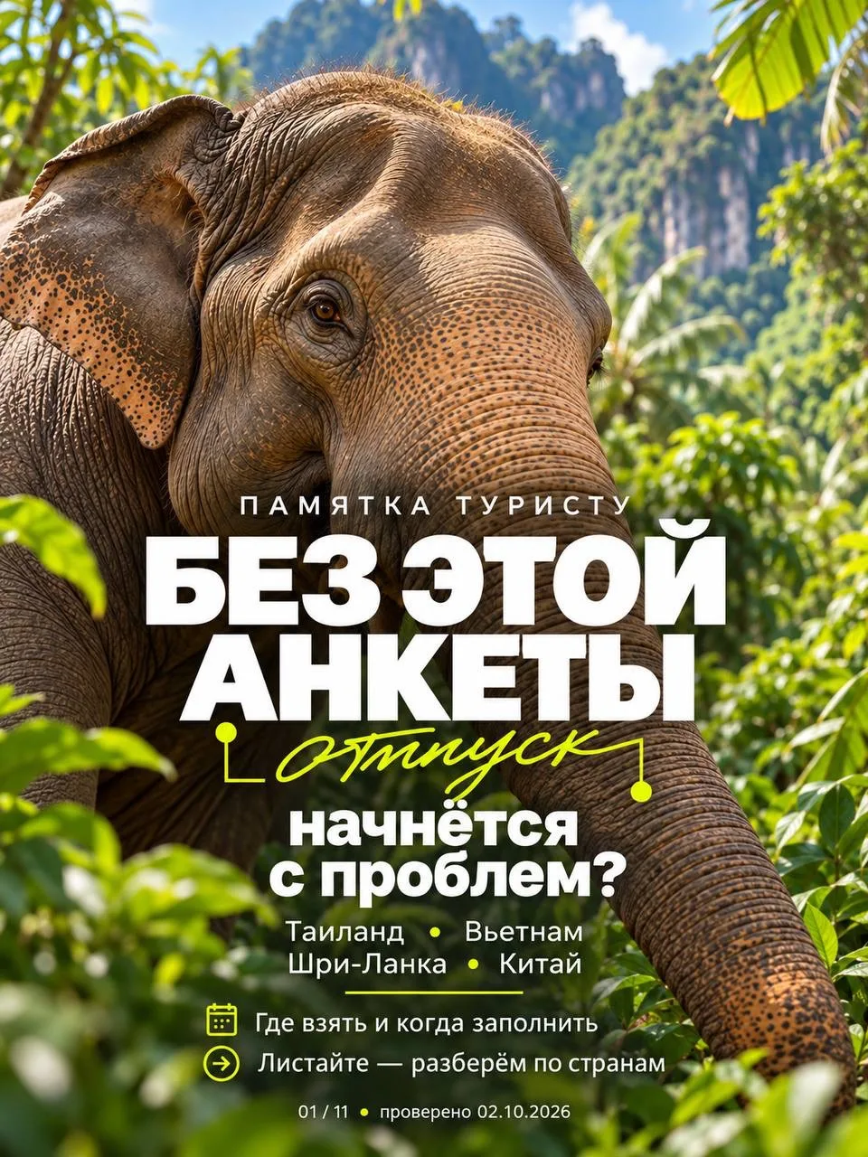 Паспорт, билеты, отель… а анкету для въезда заполнили? ✈️
